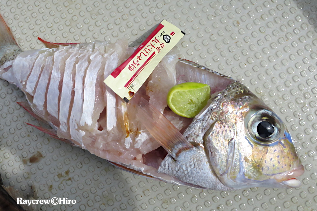マーシャル諸島のニオイが臭い確率が高い魚達【釣った直後に要確認！】