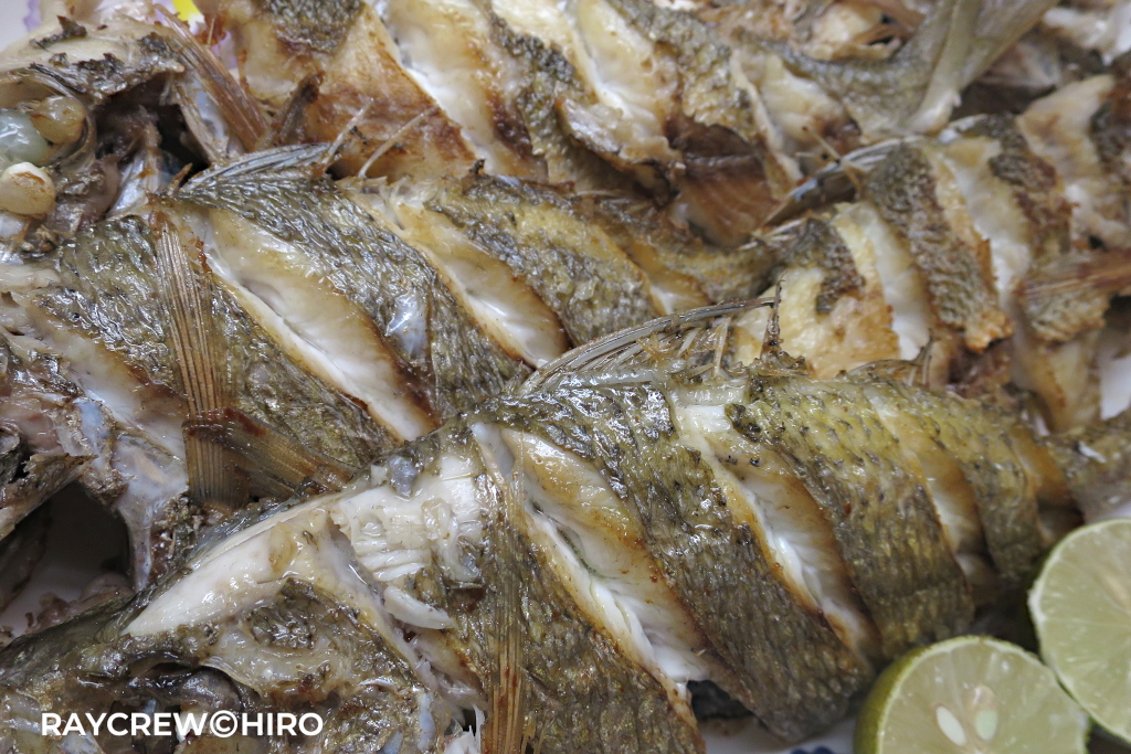 マーシャル諸島のクロサギ【日本でもあまり市場に出回っていない魚】